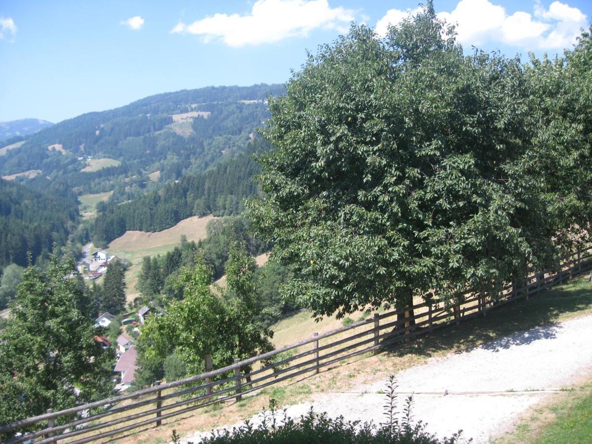 Bed and Breakfast Gerstbreinhof à Bad Sankt Leonhard im Lavanttal Extérieur photo